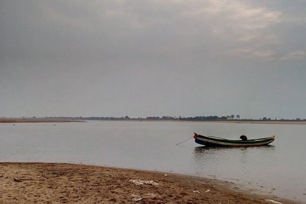 Godavari River